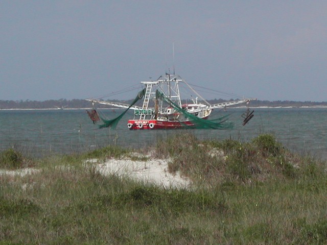 Florida Photo 2